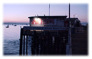 Patriot Sportfishing